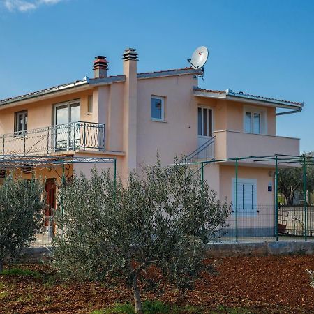 Guest House Pelja Plano Dış mekan fotoğraf